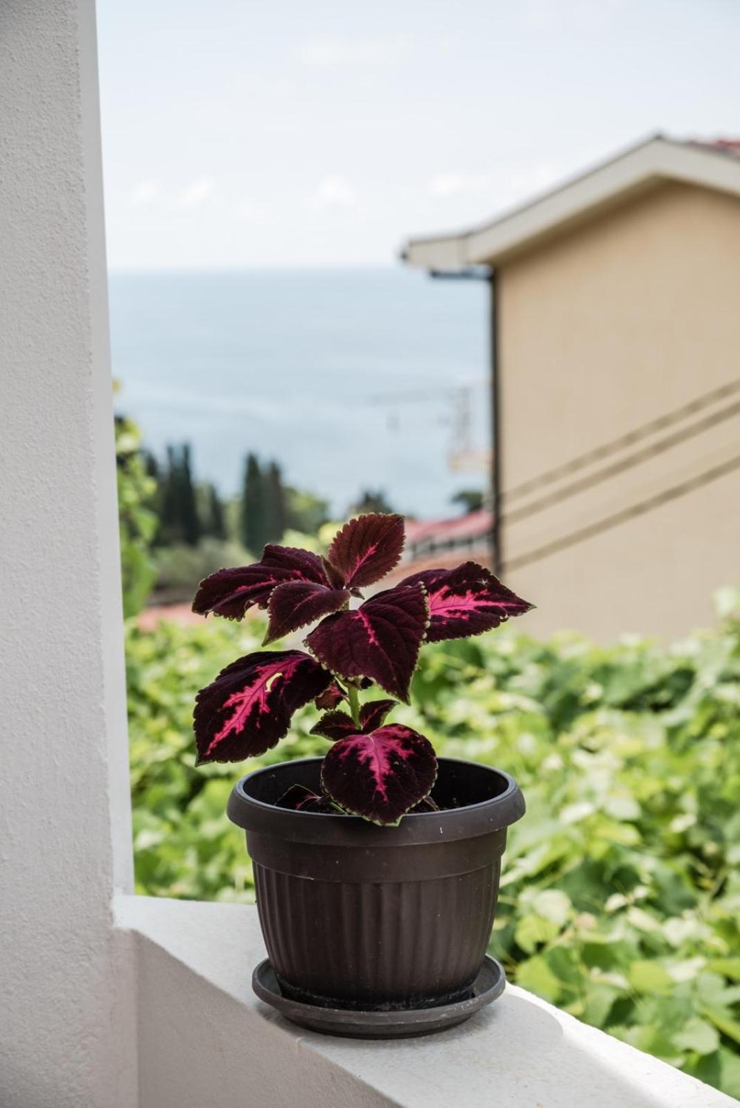 Adriatic Sea View Rooms Ούλτσιν Εξωτερικό φωτογραφία